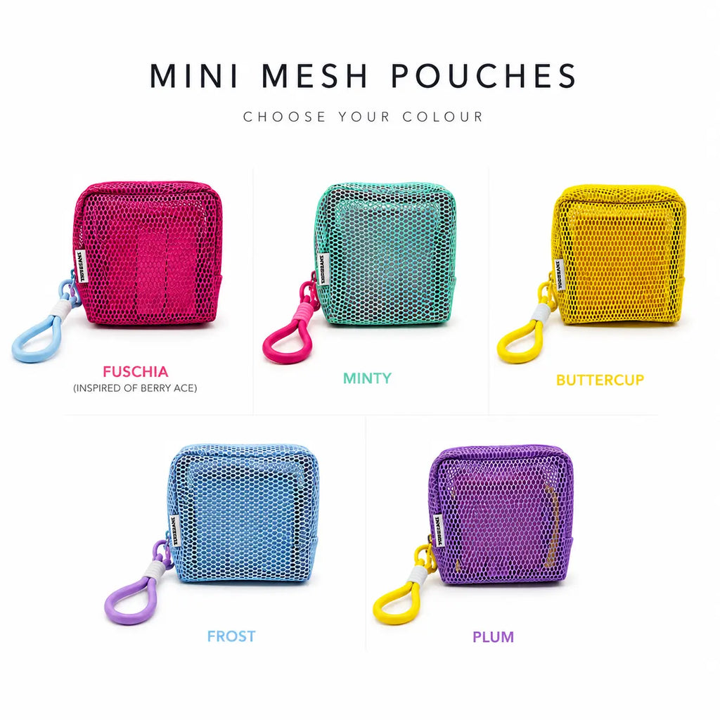 Mini Mesh Cosmetic Pouch